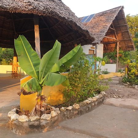 Bed and Breakfast Rasta House Kilindoni Exteriér fotografie