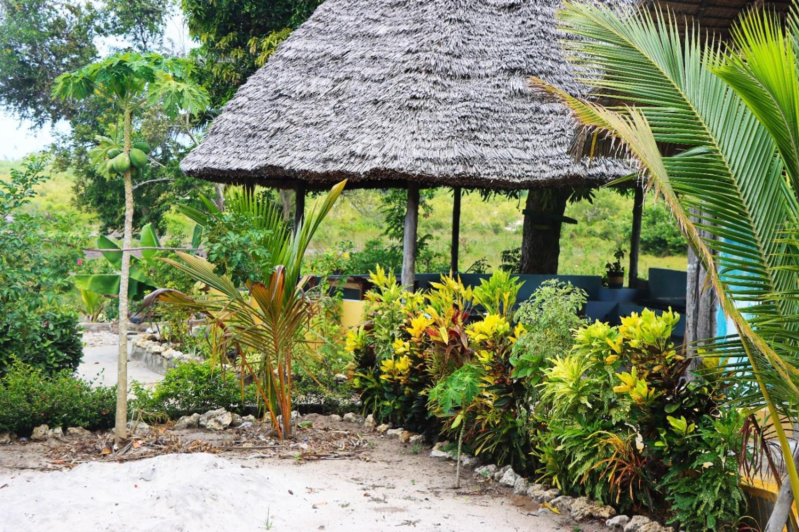 Bed and Breakfast Rasta House Kilindoni Exteriér fotografie