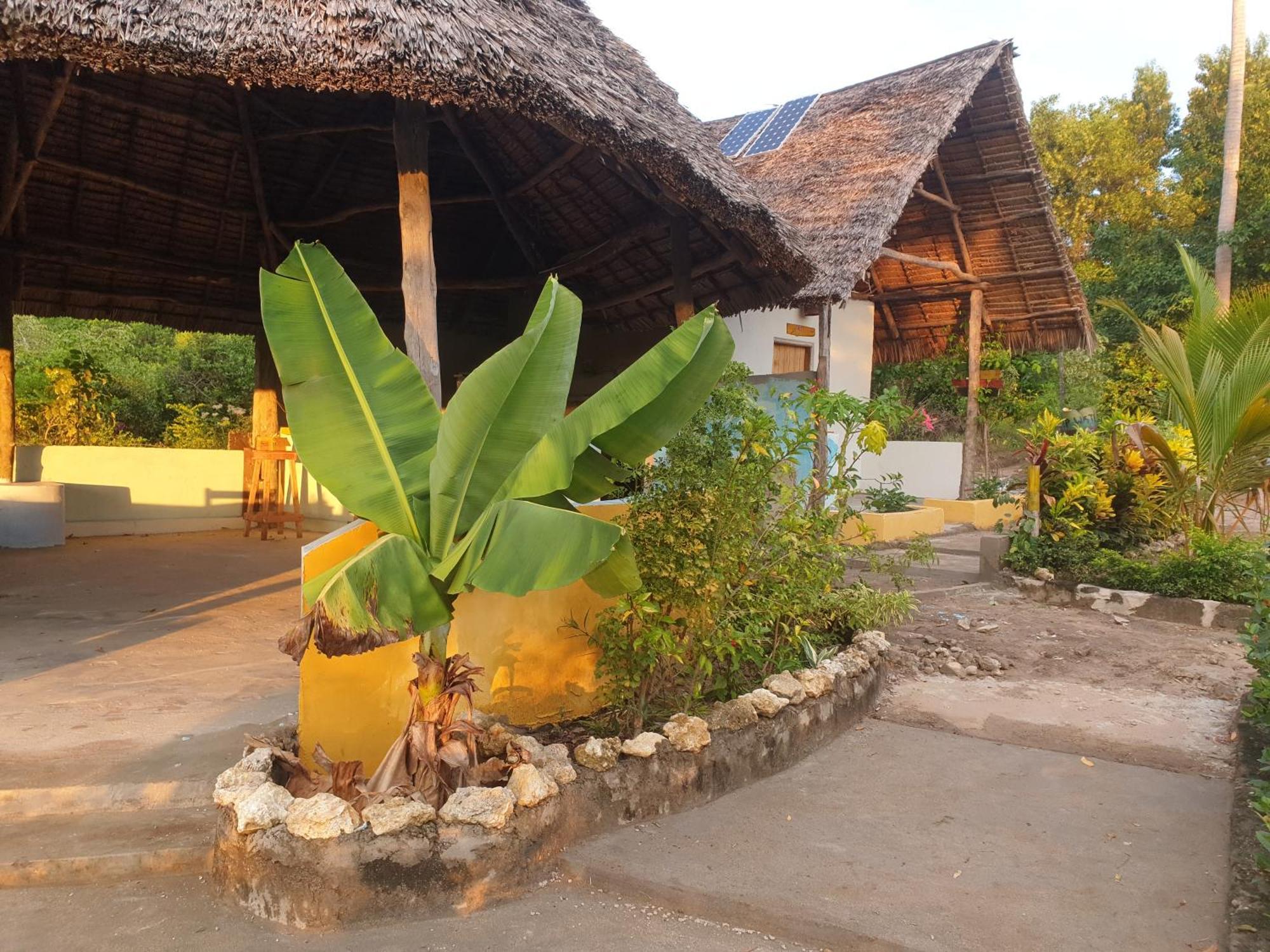 Bed and Breakfast Rasta House Kilindoni Exteriér fotografie